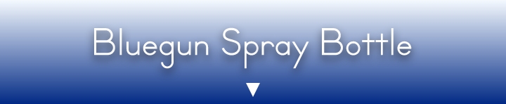 Bluegun Spray Bottle